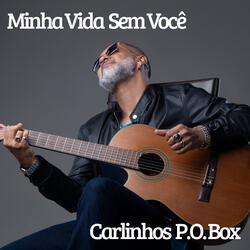 Minha Vida Sem Você