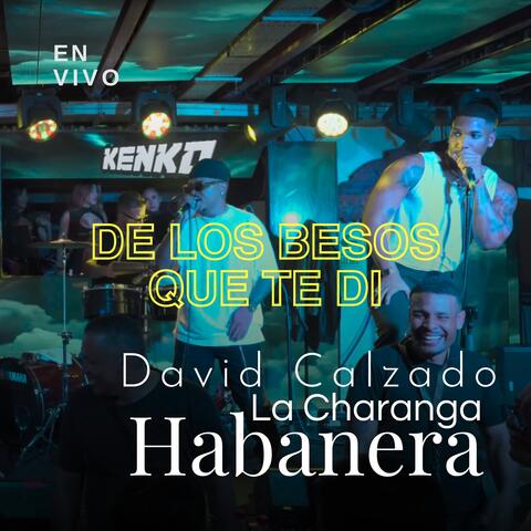 De los Besos Que Te Di