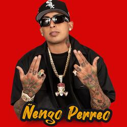 Ñengo Perreo