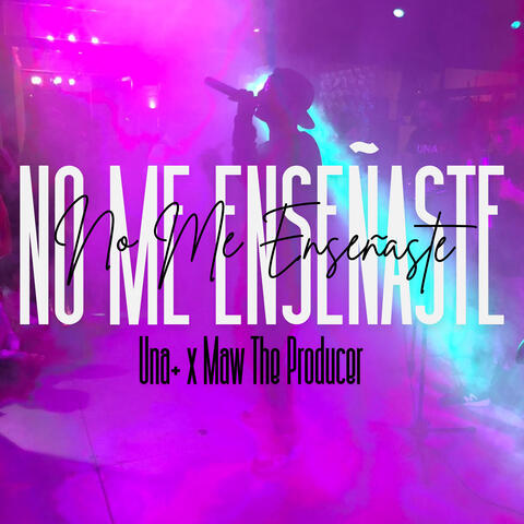 No Me Enseñaste