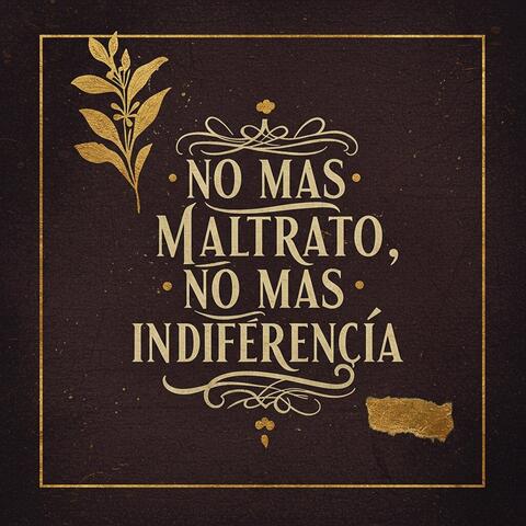 No Mas Maltrato No Mas Indiferencia
