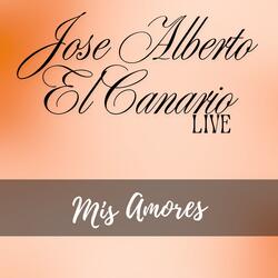 Mis Amores