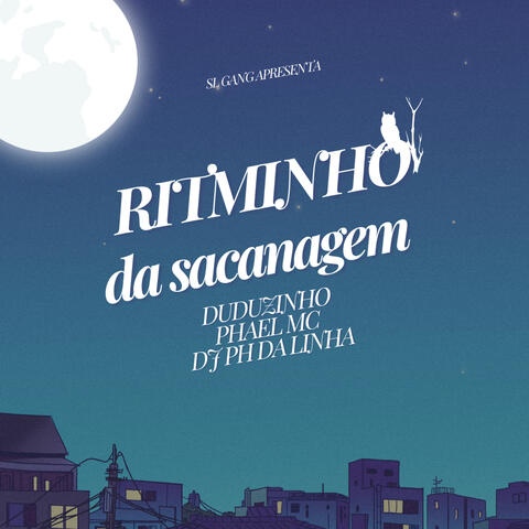 Ritminho da Sacanagem