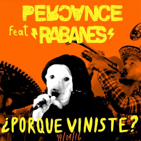 Por Que Viniste?