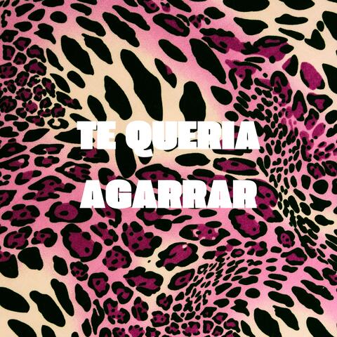 Te Queria Agarrar