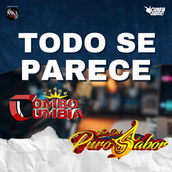 Todo Se Parece