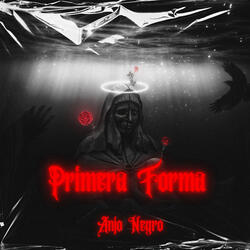 Primera Forma