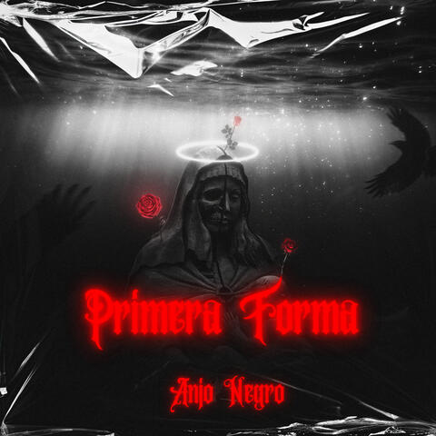 Primera Forma