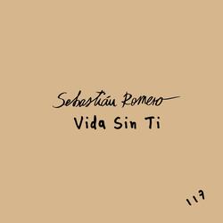 Vida Sin Ti