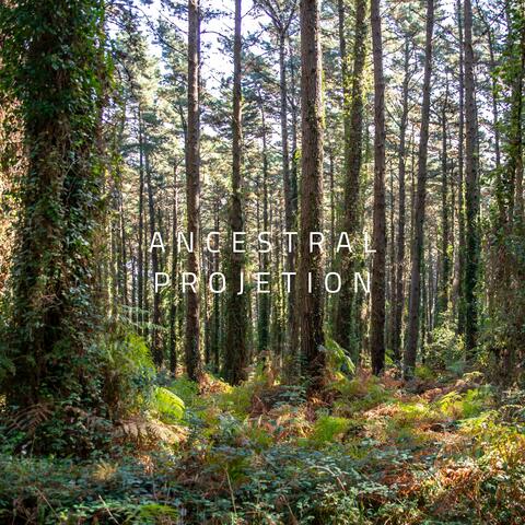 Ancestral Projetion