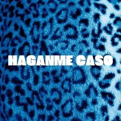 Haganme Caso