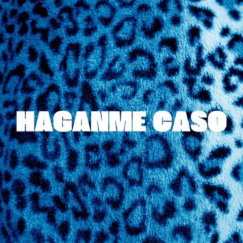 Haganme Caso