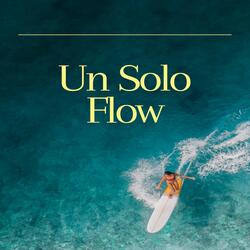 Un Solo Flow