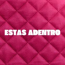Estas Adentro