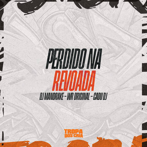 Perdido na Revoada