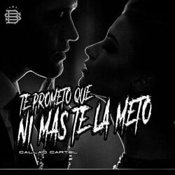 Te Prometo Que Ni Mas Te la Meto