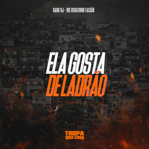 Ela Gosta de Ladrão