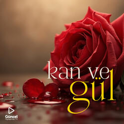 Kan ve Gül