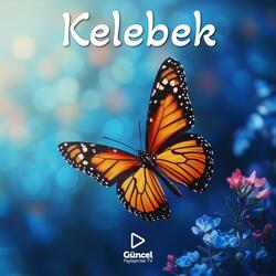 Kelebek