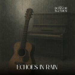 Echoes in Rain