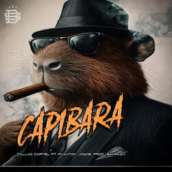 Capibara