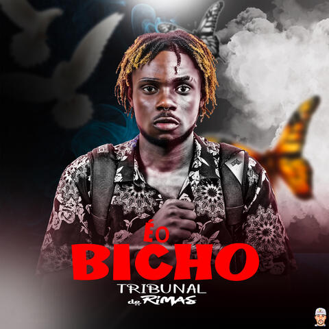 É o Bicho