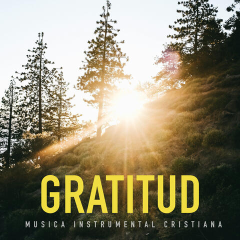 Gratitud