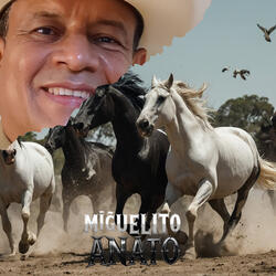 Mi Pueblo de Ayer y Hoy