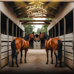 Yo No Maldigo Mi Suerte