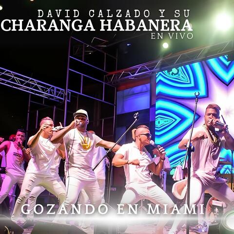 Gozando en Miami