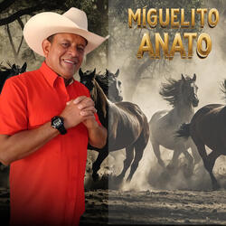 Asi Es en Mayo Mi Llano