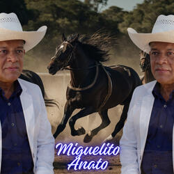 A la Cuenca del Unare