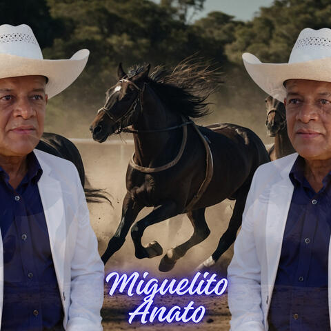 A la Cuenca del Unare