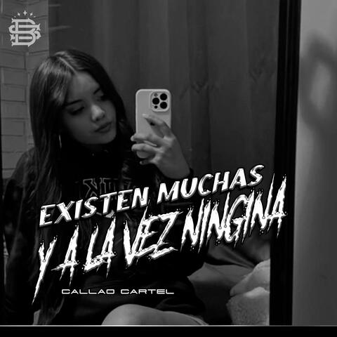 Existen Muchas a la Vez  y a la Vez Ninguna