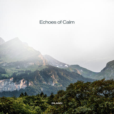 Echoes of Calm