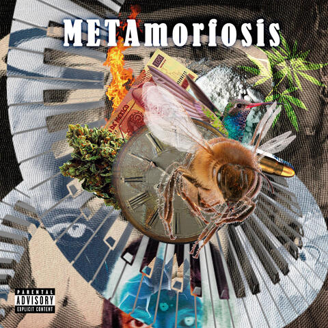Metamorfosis