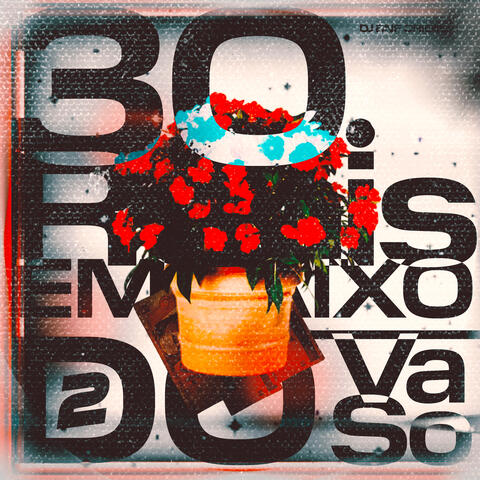 30 Reais Embaixo do Vaso 2