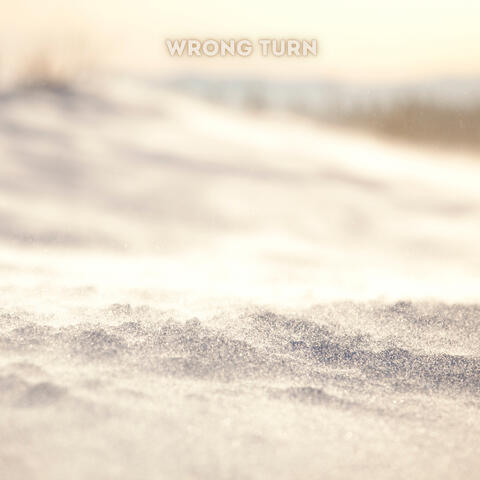 Wrong Turn