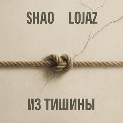Из тишины