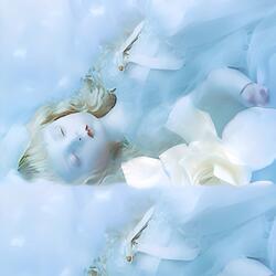 Gardenia