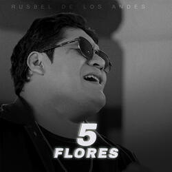 5 Flores