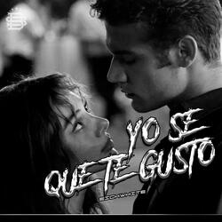 Yo Se Que Te Gusto