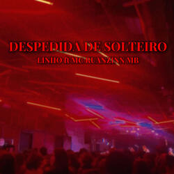 Despedida de Solteiro