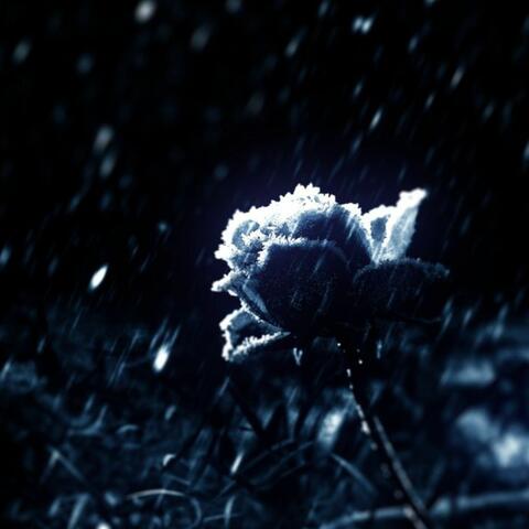 Si Yo Hubiera Sido Distinto