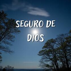 Seguro de Dios