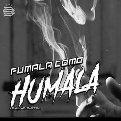 Fumala Como Humala