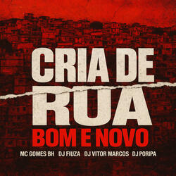 Cria de Rua Bom e Novo