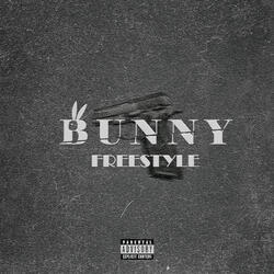 Bunny Freestyle