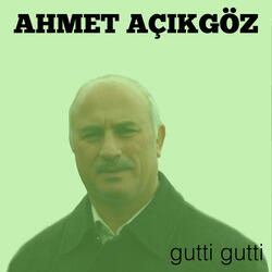 Gutti Gutti