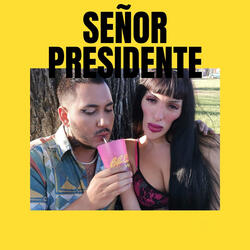 Señor Presidente